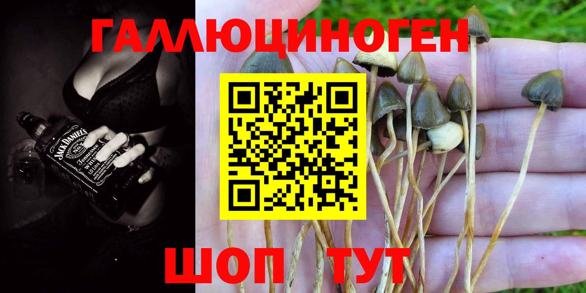 Заинск  Галлюциногенные грибы Psilocybe  Вход с VPN  Галлюциногенные грибы GOLDEN TEACHER 