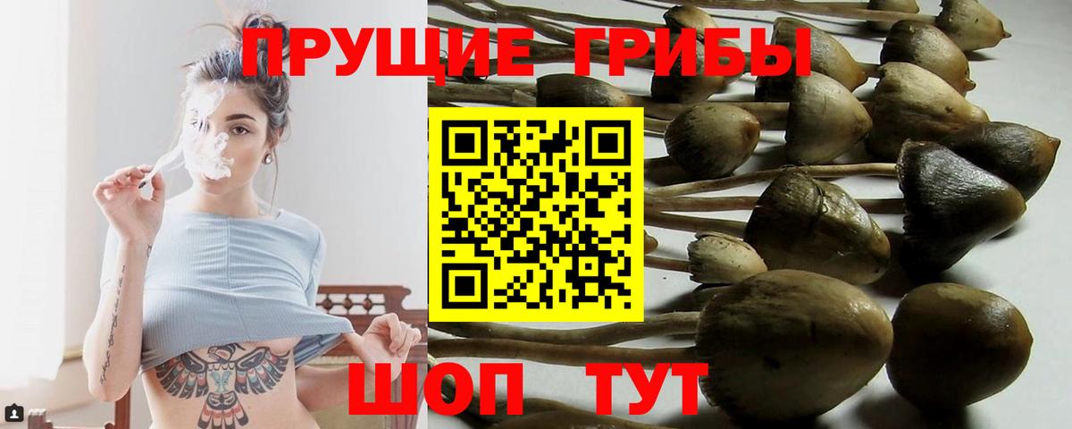 Галлюциногенные грибы GOLDEN TEACHER Заинск
